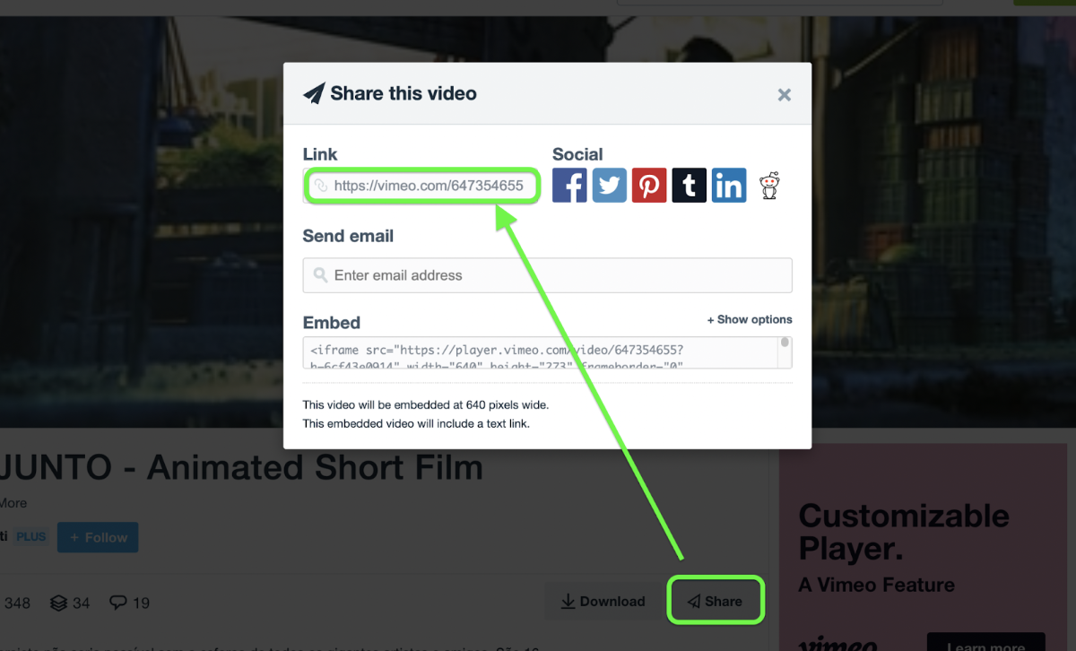 Free Ways to Save Vimeo Videos on Your PC and Mobile - TurboFuture