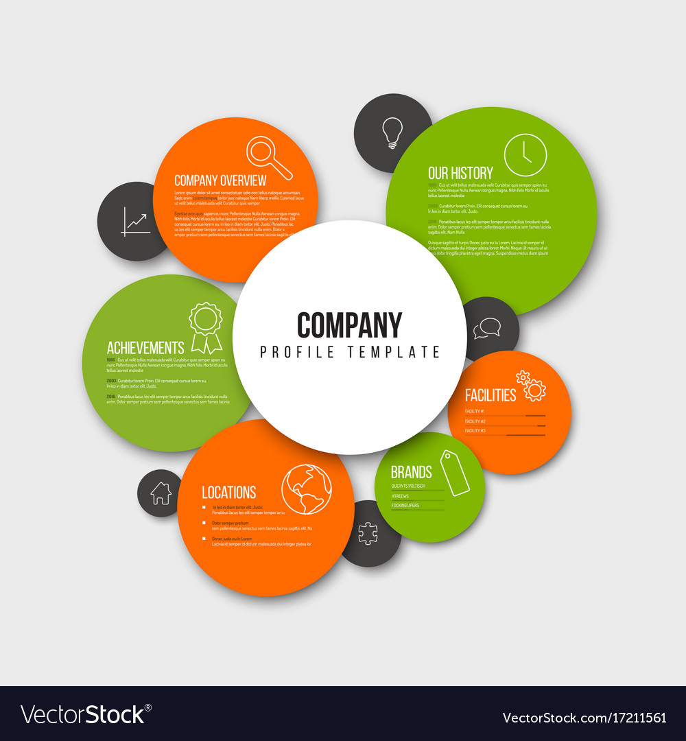 Company infographic overview design template Vector Image