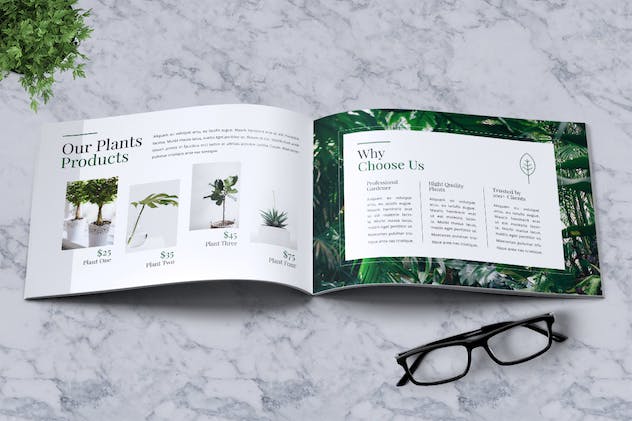 fourth preview of 'Premium Decorative Plants Brochure A5  Free Download'