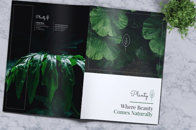 fourth preview of 'Premium Decorative Plants Brochure  Free Download'