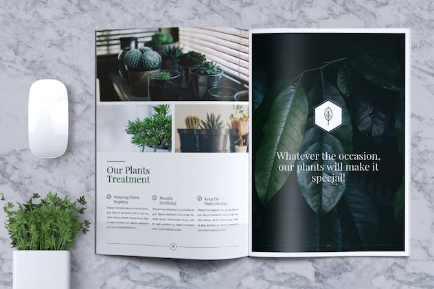 third preview of 'Premium Decorative Plants Brochure  Free Download'