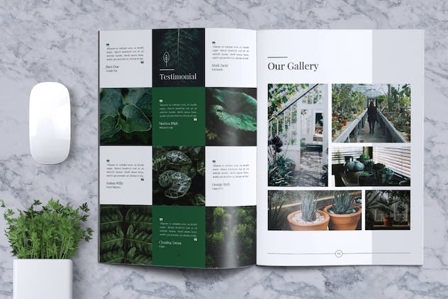 second preview of 'Premium Decorative Plants Brochure  Free Download'