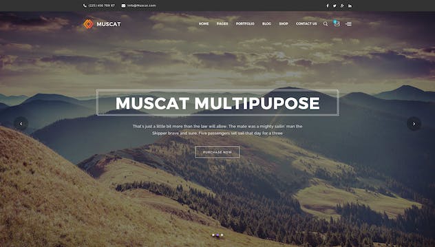 third preview of 'Premium Muscat Multi-Color Multipurpose PSD Template  Free Download'