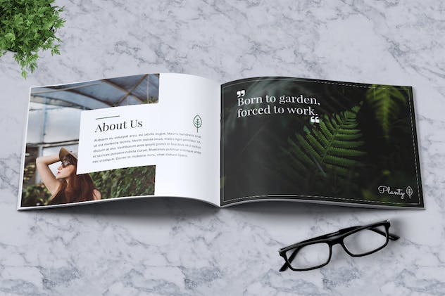 third preview of 'Premium Decorative Plants Brochure A5  Free Download'