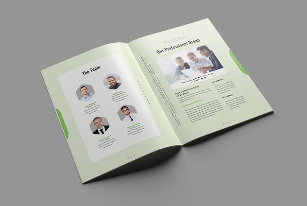 second preview of 'Premium The Brochure  Free Download'
