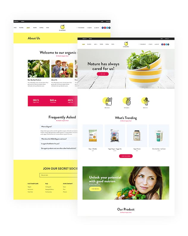 second preview of 'Premium Cinagro Organic Food Shop PSD Template  Free Download'