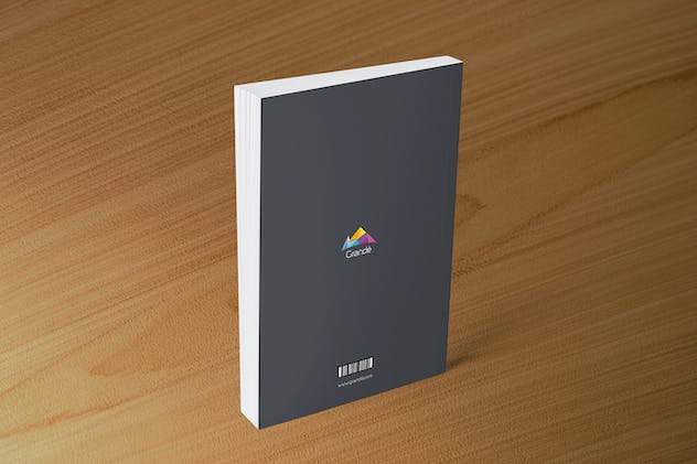 third preview of 'Premium Professional Book Cover Mockups  Free Download'