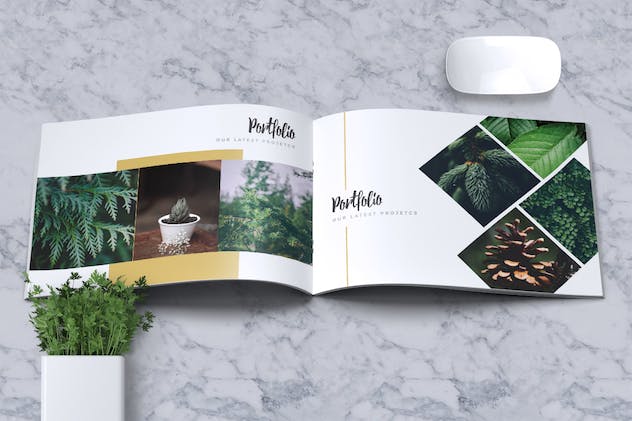 third preview of 'Premium Jasmine Lookbook Brochure Catalogue  Free Download'