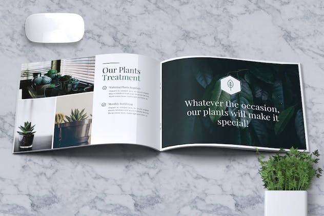 second preview of 'Premium Decorative Plants Brochure A5  Free Download'