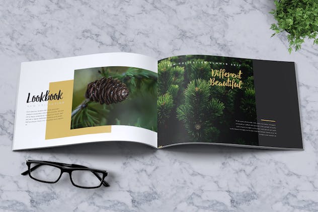 fourth preview of 'Premium Jasmine Lookbook Brochure Catalogue  Free Download'