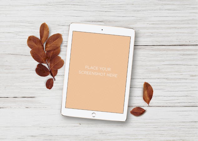 second preview of 'Premium White iPad Mockups  Free Download'
