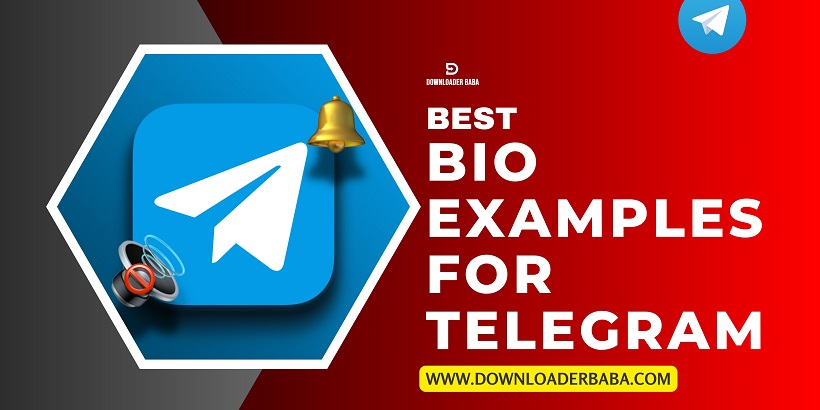 Best Bio Examples for Telegram