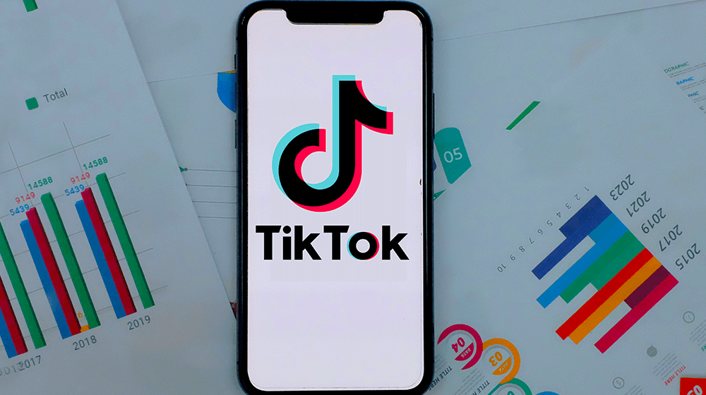 Key Features of TikTok Business Manager