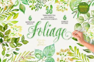 Premium Watercolor Foliage Collection Free Download
