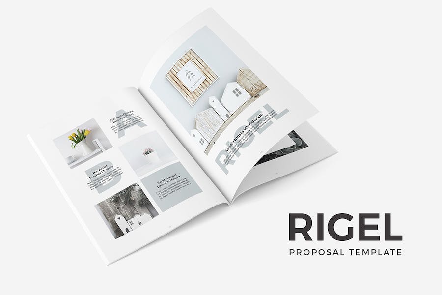 Premium Rigel Proposal Template  Free Download