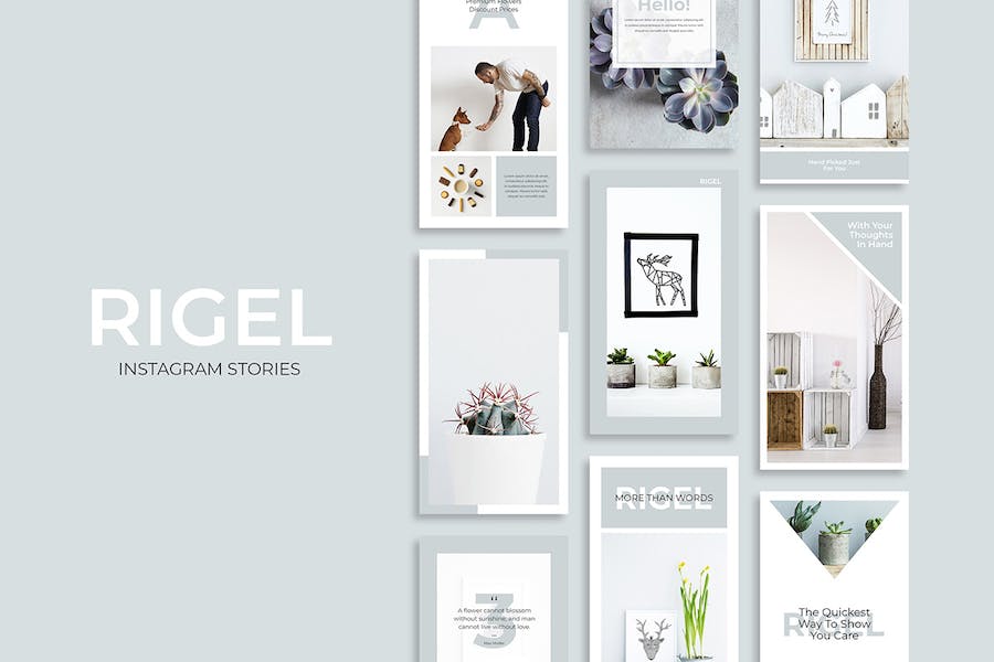 Premium Rigel – Instagram Stories  Free Download