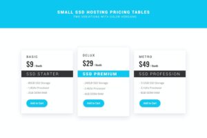 Banner image of Premium SSD Hosting Small Pricing Tables PSD  Free Download