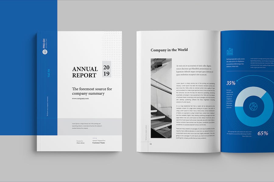 Premium Annual Report Template  Free Download