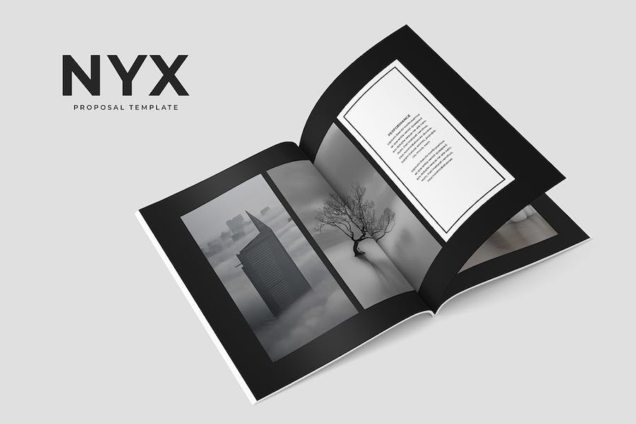 Premium Nyx Proposal Template  Free Download