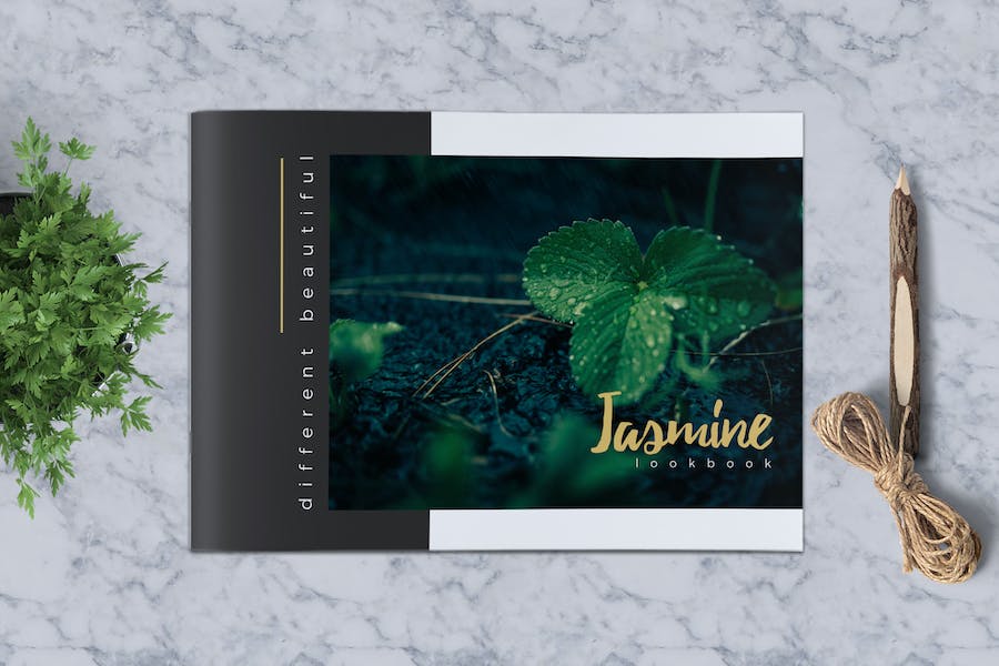 Premium Jasmine Lookbook Brochure Catalogue  Free Download