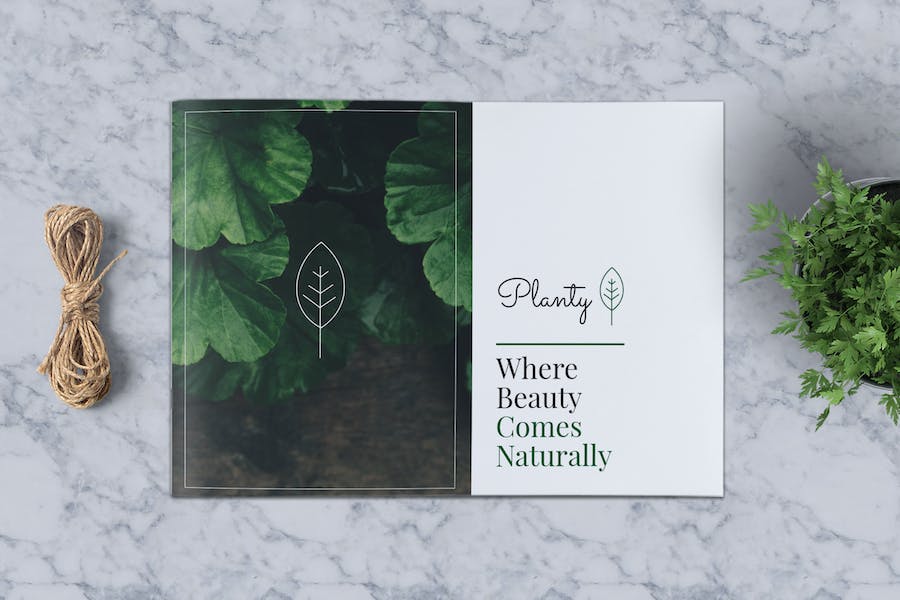 Premium Decorative Plants Brochure A5  Free Download