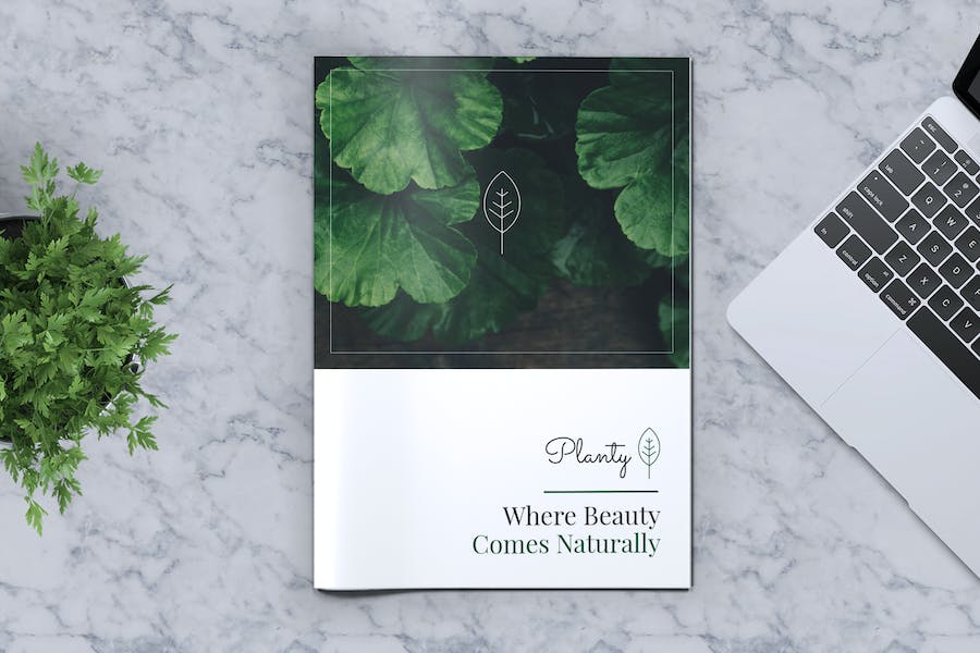 Premium Decorative Plants Brochure  Free Download