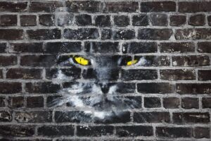 Banner image of Premium Grunge Graffiti Bricks Wall Mockup  Free Download
