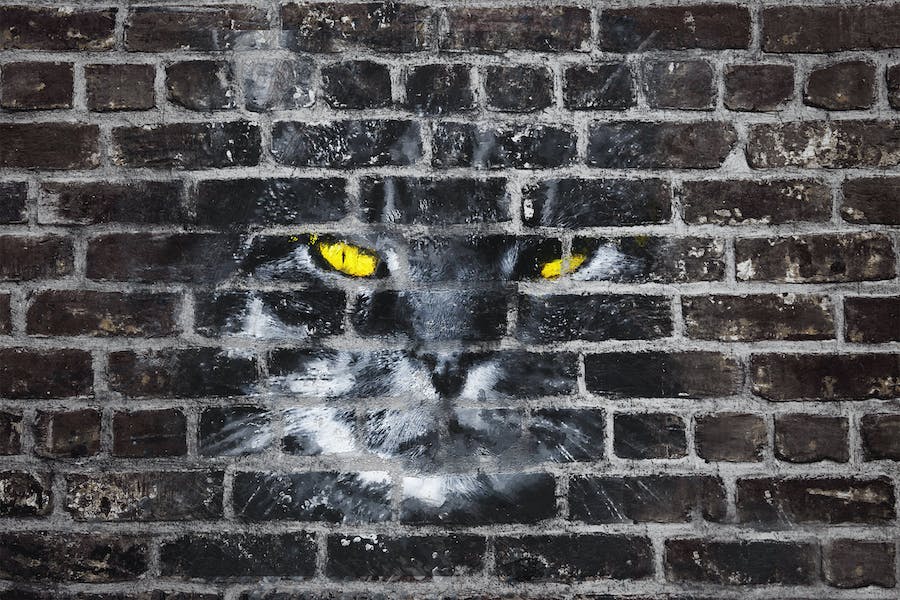 Premium Grunge Graffiti Bricks Wall Mockup  Free Download