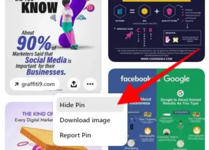 How To See Hidden Pins On Pinterest (3 Methods)