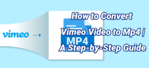 How to Convert Vimeo Video to Mp4 | TopClipper