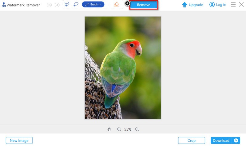 How to Get Rid of the Alamy Watermark [Easiest Ways]
