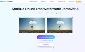 EasyHow to Remove Adobe Stock Watermark Online Offline
