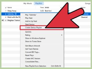 How to Make a Playlist in iTunes 14 Steps with Pictures