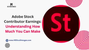 Adobe Stock Contributor Earnings Understanding How Much You Can Make