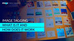 Image Tagging  What Is It and How Does It Work  YouTube