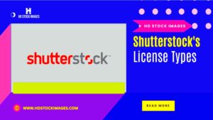 Understanding Shutterstocks License Types Choosing the Right Usage