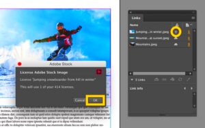 Open and purchase Adobe Stock assets with a single click