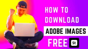 How To Download Adobe Images  Adobe Stock Images Free  Adobe Photo