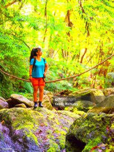 Exploring A Tropical Rainforest In Okinawa Japan HighRes Stock Photo