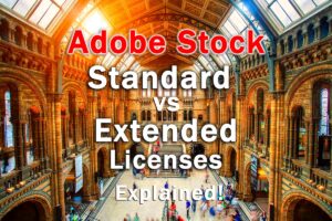 Adobe Stock Standard vs Extended License 2024 Explained