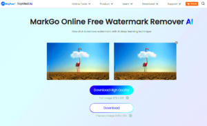 EasyHow to Remove Adobe Stock Watermark Online  Offline