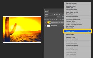 Open and purchase Adobe Stock assets with a single click