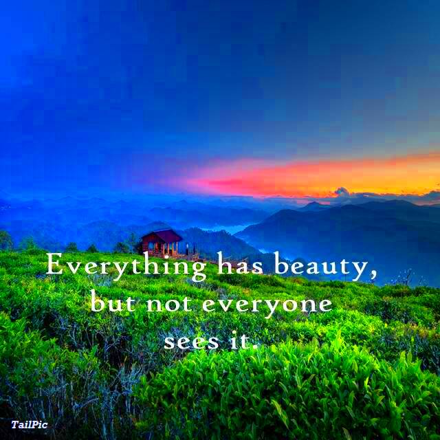 35 Life Is Beautiful Quotes For Beauty Of Life