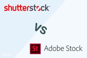 Shutterstock vs Adobe Stock comparison in 2024  Xpiks Blog