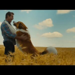 A dog's journey 123movies sale