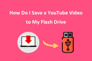 Learn the Simplest Way to Save YouTube Videos to a Flash Drive  HD