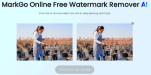 How to Remove Getty Image Watermark for Free 5 Easy Ways