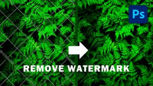 2 Easy Ways to Remove Watermark in Photoshop CC 2020  YouTube