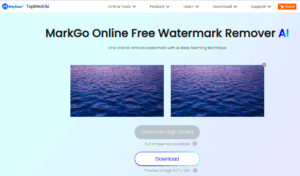 How to Remove Watermarks from iStockPhoto  Downloader Baba