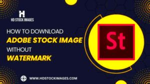 How to download Adobe Stock Image without watermark for free  HD Stock